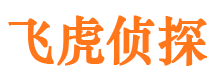 三都市侦探公司